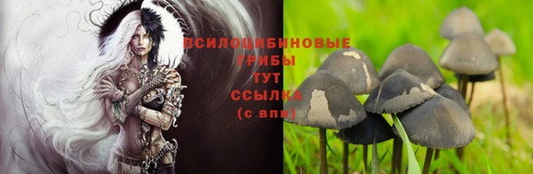 ALPHA PVP Алексин