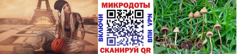 Псилоцибиновые грибы ЛСД  наркота  Люберцы 